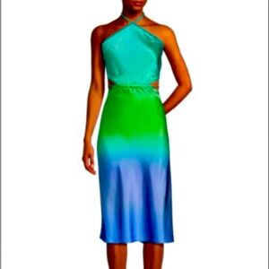 Gorgeous silky dress. Wore once